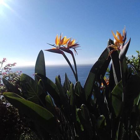 Apartamento Do Sol Arco da Calheta Kültér fotó