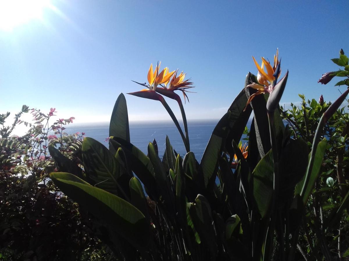 Apartamento Do Sol Arco da Calheta Kültér fotó