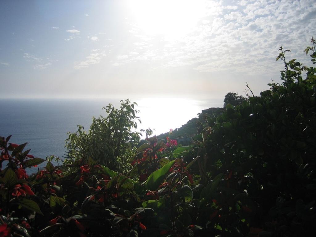 Apartamento Do Sol Arco da Calheta Kültér fotó